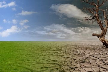 Danni all&#39;agricoltura per la siccit&#224; a partire dal mese di maggio 2022 - Domande per una prima ricognizione dei danni 